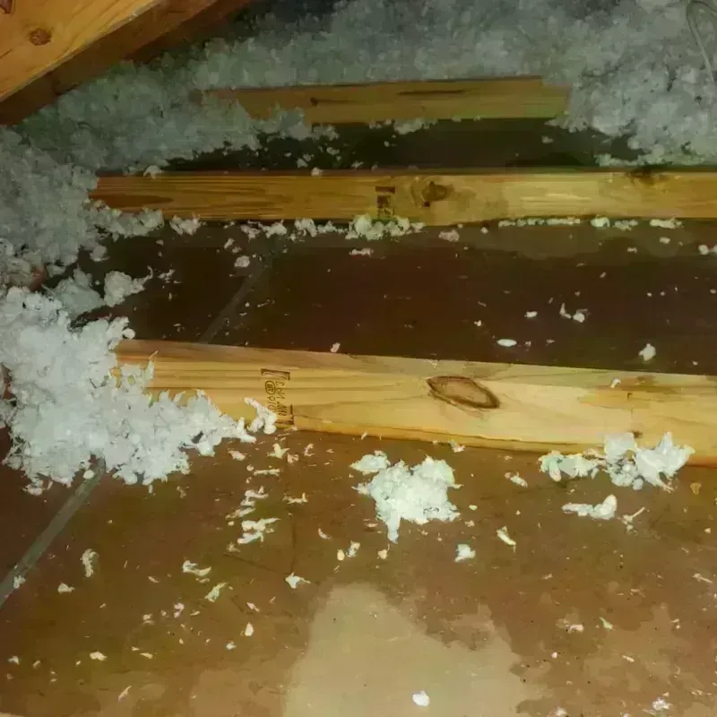 Attic Water Damage in Cana, VA